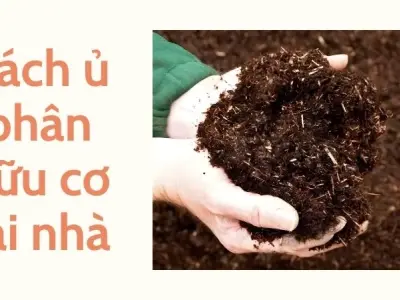 Cách ủ phân hữu cơ tại nhà giúp đất tơi xốp nhanh hơn
