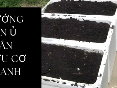 Hướng dẫn ủ phân hữu cơ tại nhà nhanh, sạch và không mùi