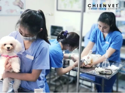 Bệnh viện thú y 74 Trường Chinh: Lời cảnh báo từ người dùng về trải nghiệm tiêu cực