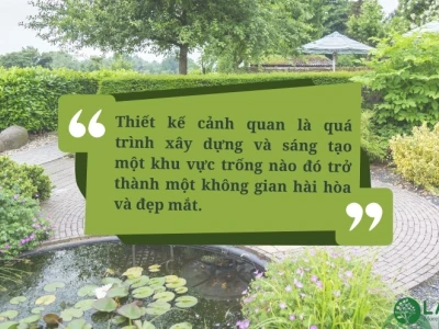 Các loại cây dây leo ít rụng lá, xanh mát quanh năm cho không gian sống