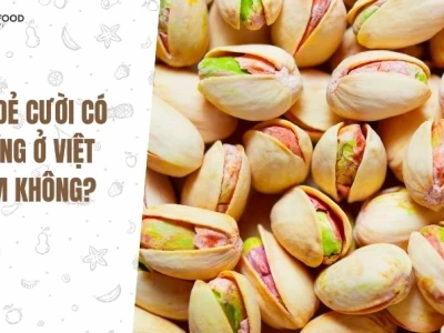 Cây hạt dẻ cười có trồng ở Việt Nam không?