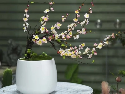 Chọn chậu đào tết 2026: Hướng dẫn chi tiết và các mẫu đẹp nhất
