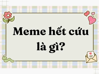 Hàng loạt meme hết cách: Biểu cảm bất lực và hài hước của năm 2026