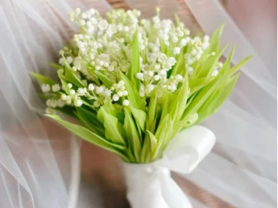 Hoa Linh Lan Tím: Ý Nghĩa, Biểu Tượng và Sắc Màu Độc Đáo
