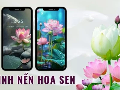 Hoa Sen Đẹp: Khám phá vẻ đẹp tinh khôi và ý nghĩa sâu sắc