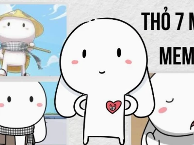 Khám phá thế giới meme thỏ bảy màu hài hước và độc đáo