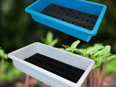 Khay Nhựa Trồng Cây: Lựa Chọn Thông Minh Cho Vườn Nhà Bạn Năm 2026