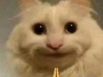Meme Mèo Thả Tim: Bộ Sưu Tập Hình Ảnh Đáng Yêu Nhất 2026