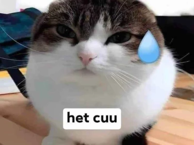 Meme Nhăn Mặt Biểu Tượng Cảm Xúc Bực Bội và Hài Hước
