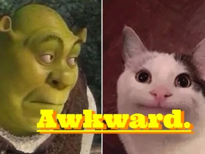Những Khoảnh Khắc "Awkward Meme": Khi Sự Ngượng Ngùng Trở Thành Niềm Vui