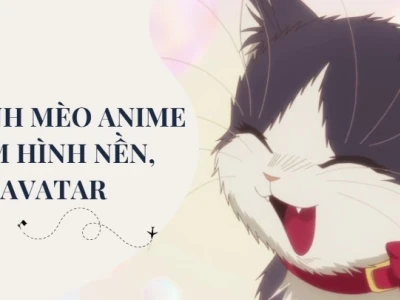 Những Khoảnh Khắc Meme Mèo Ngầu Lòi Khiến Bạn Cười Ra Nước Mắt