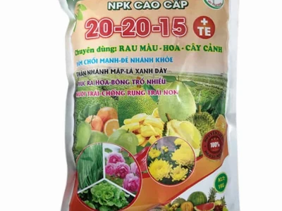 Phân NPK 20-20-15+TE: Giải Pháp Dinh Dưỡng Toàn Diện Cho Cây Trồng Năm 2026