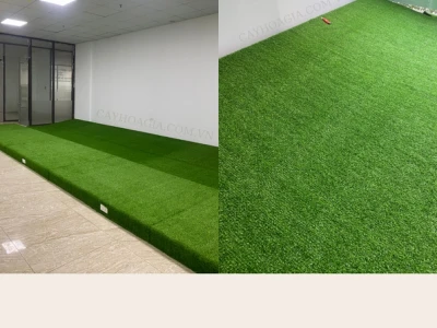Thảm cỏ nhân tạo khổ 2m: Hướng dẫn chọn lựa và báo giá chi tiết 2026