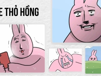 Thỏ Hồng Meme: Biểu Cảm Dễ Thương và Những Câu Chuyện Hài Hước