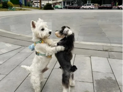 Tổng hợp 101+ Hình ảnh Meme Ôm Siêu Cute và Ý Nghĩa