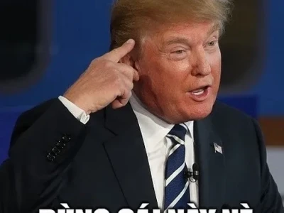Tổng hợp 33+ Meme Não Hài Hước: Cà KhịaIQ Thấp Một Cách Tinh Tế