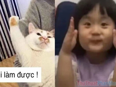 Tổng hợp meme giơ tay và những biểu cảm hài hước khó đỡ