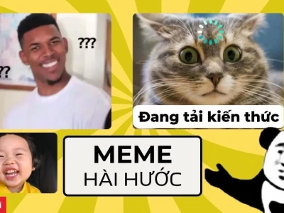Tổng hợp những meme dễ thương nhất khiến bạn "tan chảy"