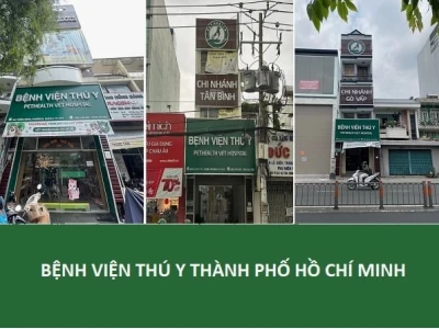 Top 5 Bệnh Viện Thú Y Tốt Nhất TP.HCM Năm 2026