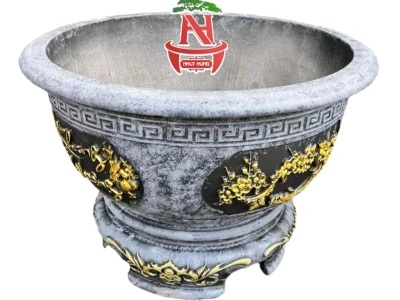 Top 7 Mẫu Chậu Trồng Mai Vàng Đẹp Chuẩn Phong Thủy 2026