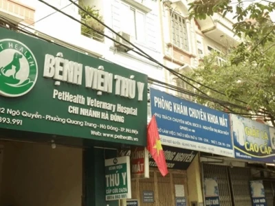 Top Bệnh viện Thú y Hà Đông Uy tín và Dịch vụ Chăm sóc Thú cưng Toàn diện 2026