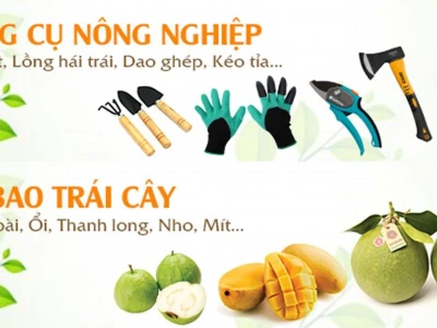 Top Dụng Cụ Hái Trái Cây Trên Cao Hiệu Quả, Đáng Mua Nhất 2026