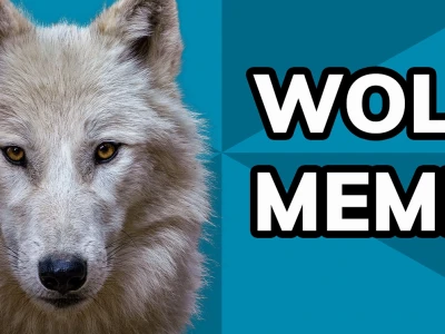 Wolf Meme: Tổng Hợp Những Meme Chó Sói Hài Hước Nhất 2026