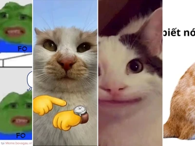 Tổng hợp meme cực độc lạ không đụng hàng dẫn đầu xu hướng 2026